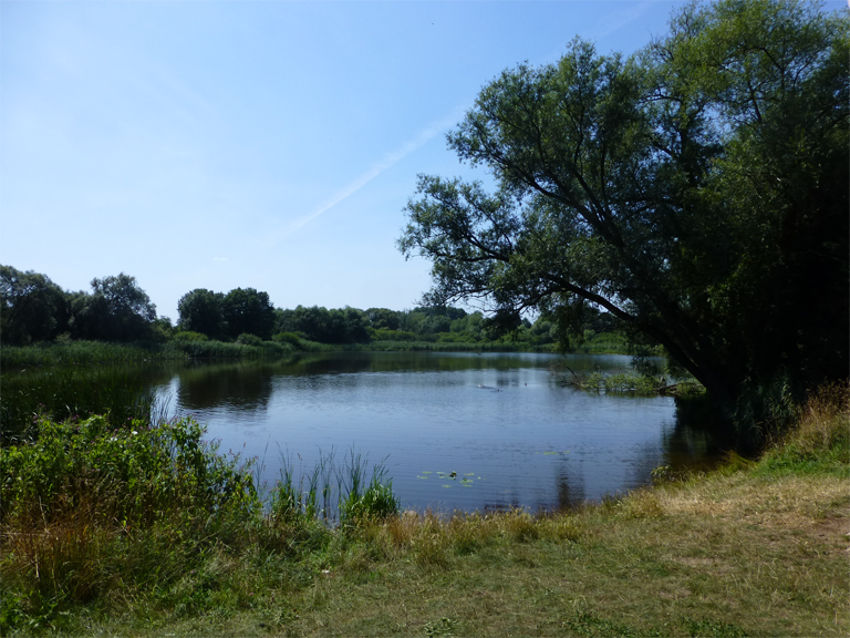 Waschbanksee